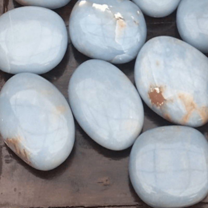 ANGELITE PALM - 100Grams