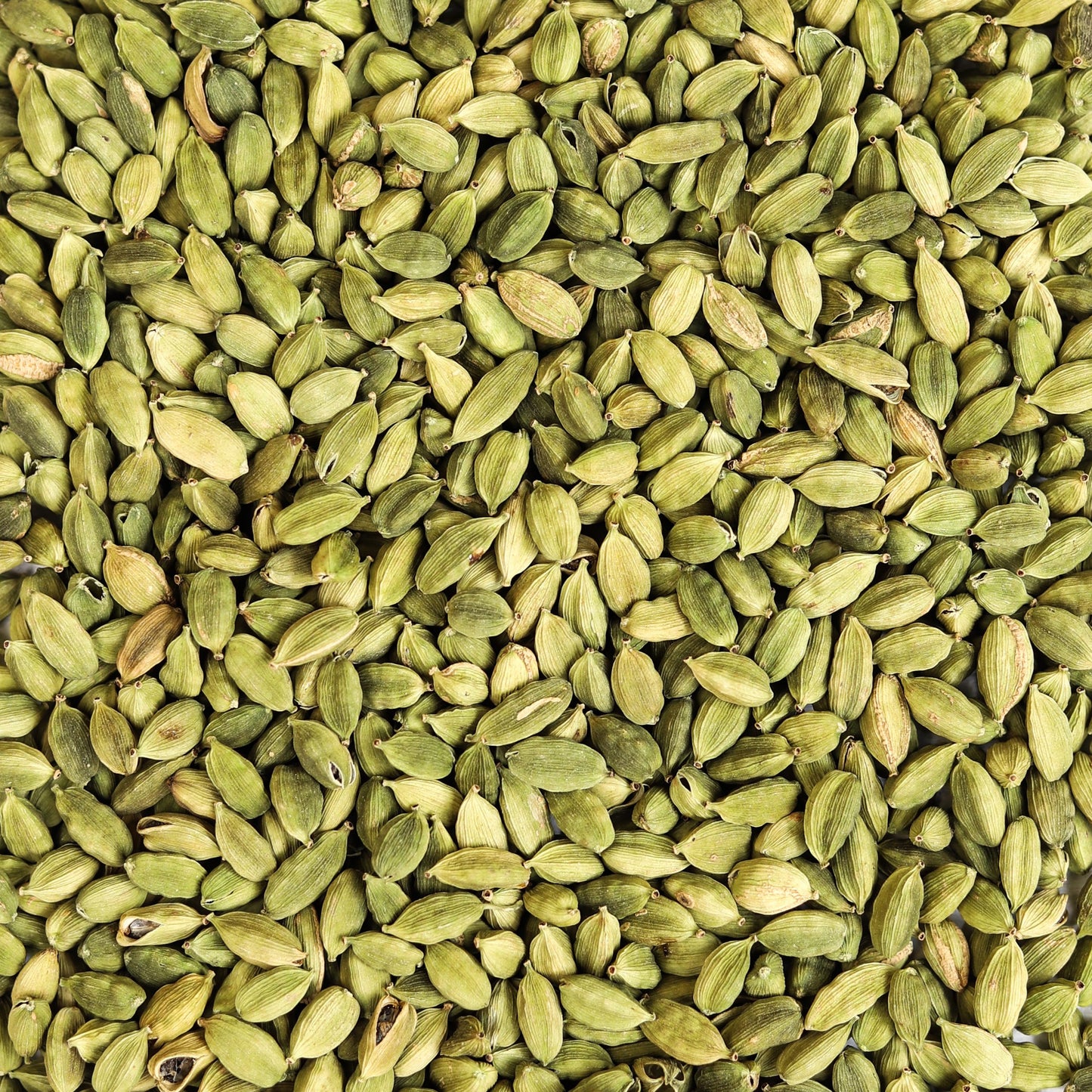 Cardamom (EIaichee) - 250 grams