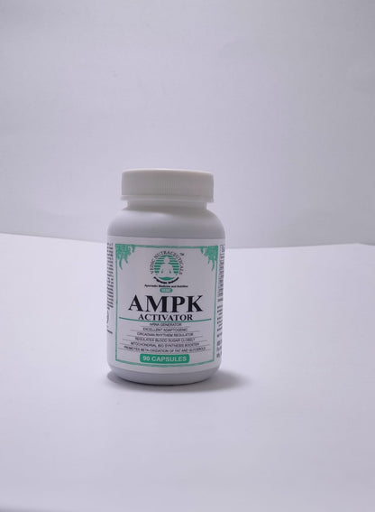 AMPK Activator - 90 Capsules