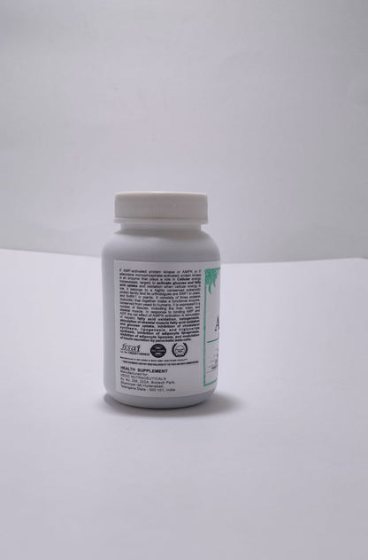 AMPK Activator - 90 Capsules
