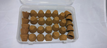 Dandaka Guggilam Mukhulitha