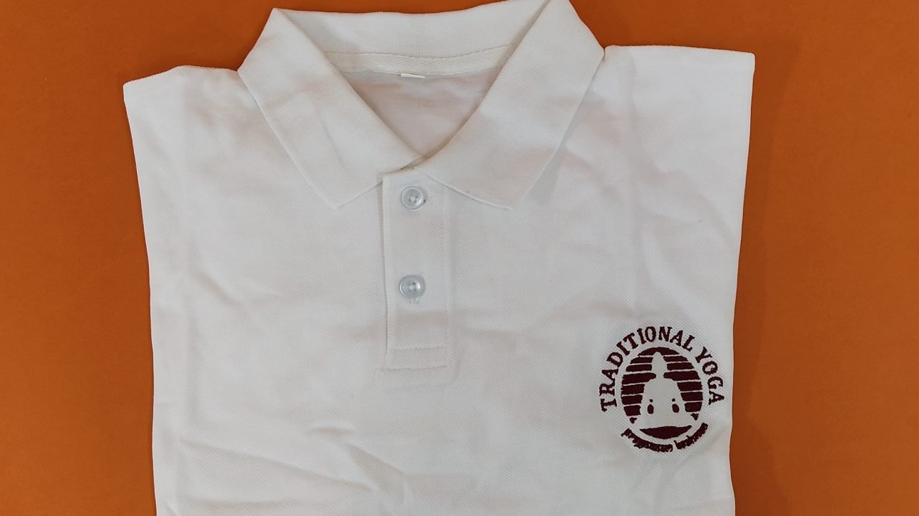 T-Shirt (Medium size)