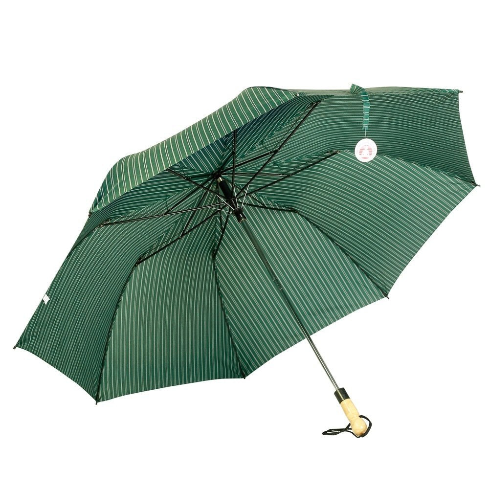 Engineered Umbrella -Ultra Modern and Strong (Large Size)