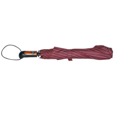 Engineered Umbrella -Ultra Modern and Strong (Medium Size)
